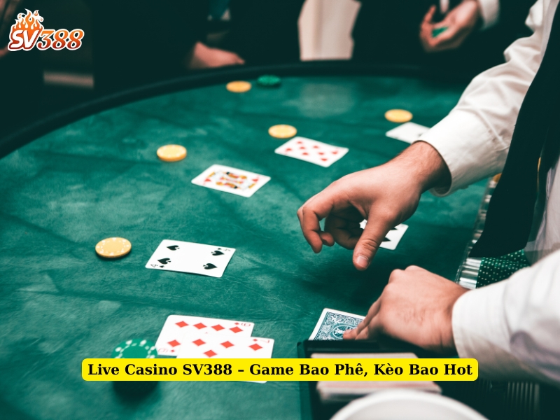 live casino sv388 game bao phê, kèo bao hot