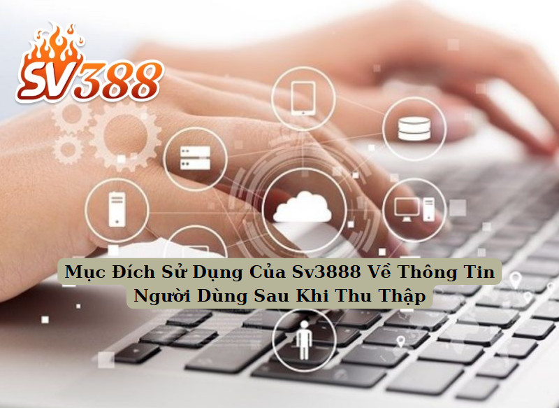 Mục Đích Sử Dụng Của Sv3888 Về Thông Tin Người Dùng Sau Khi Thu Thập