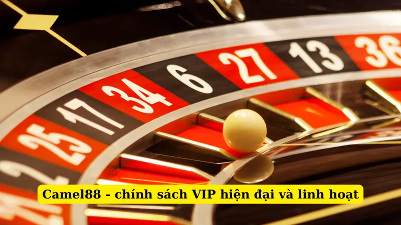 Camel88 - chính sách VIP hiện đại và linh hoạt