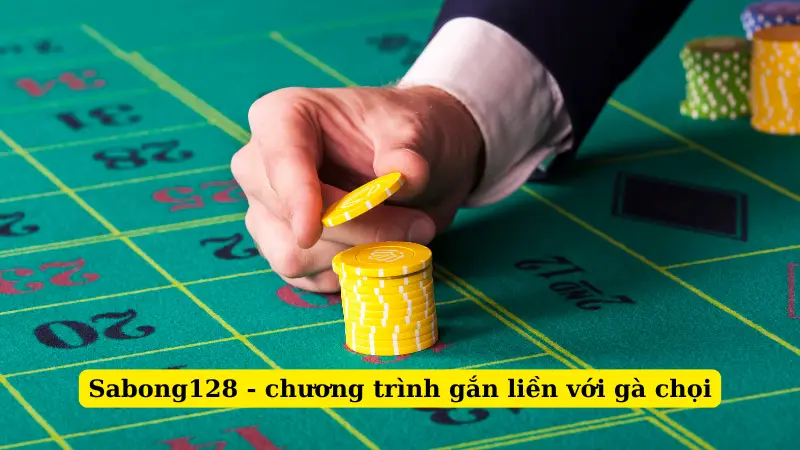 Sabong128 - chương trình gắn liền với gà chọi